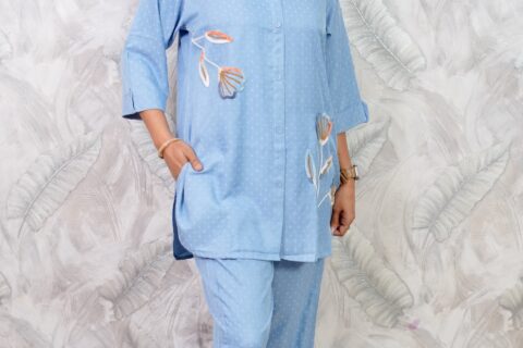 Light Blue Floral Embroidered Co-Ord Set for Women